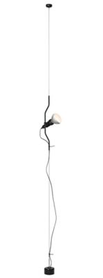 Parentesi Suspension by Flos Lighting - Starlight Lighting USA and Canada